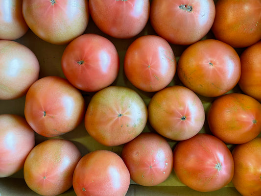 Fresh Tomato (টমেটো) 1kg